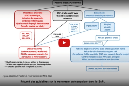 SAPL : Approche thérapeutique 
